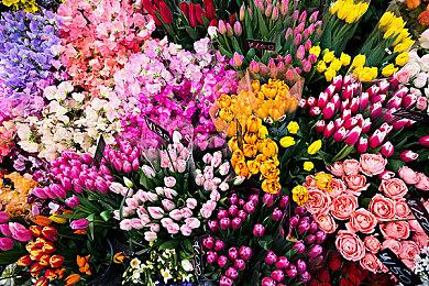 黑暗幻想ARPG《万物契约》预告 2025年免费推出